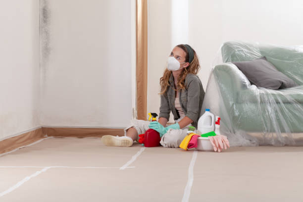 Reliable Crawl Space Mold Remediation contractor in New Buffalo, MI by 24 Hour Mold Removal